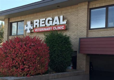 regal veterinary clinic|Our Practice 